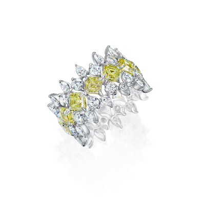 R02-C-005-6 Кольцо (750)