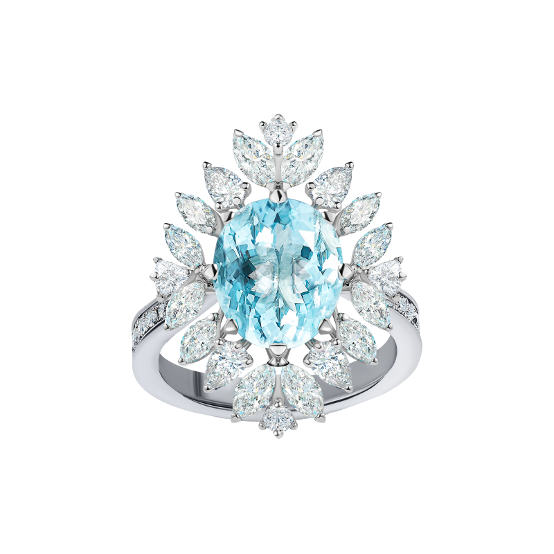 R02-FD-004-6 Кольцо (750)