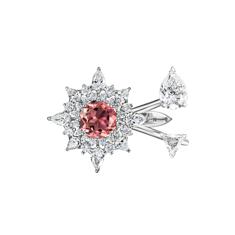 R26-FD-109-6 Кольцо (750)