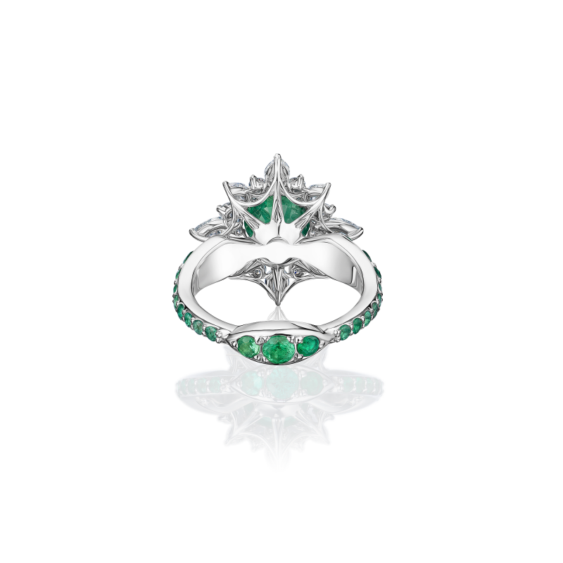 R36-FD-003-6 Кольцо (750)